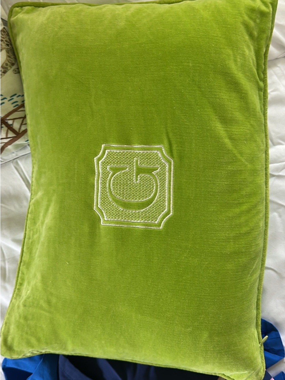 Green Velvet Decorative Pillow with Embroidered Crest - Unbranded